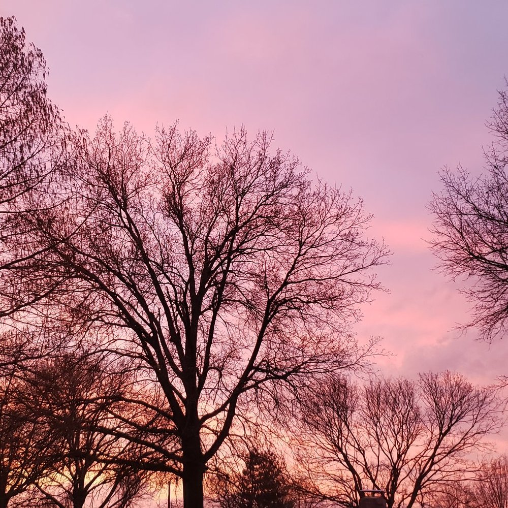 Meet your Posher, Sparkles